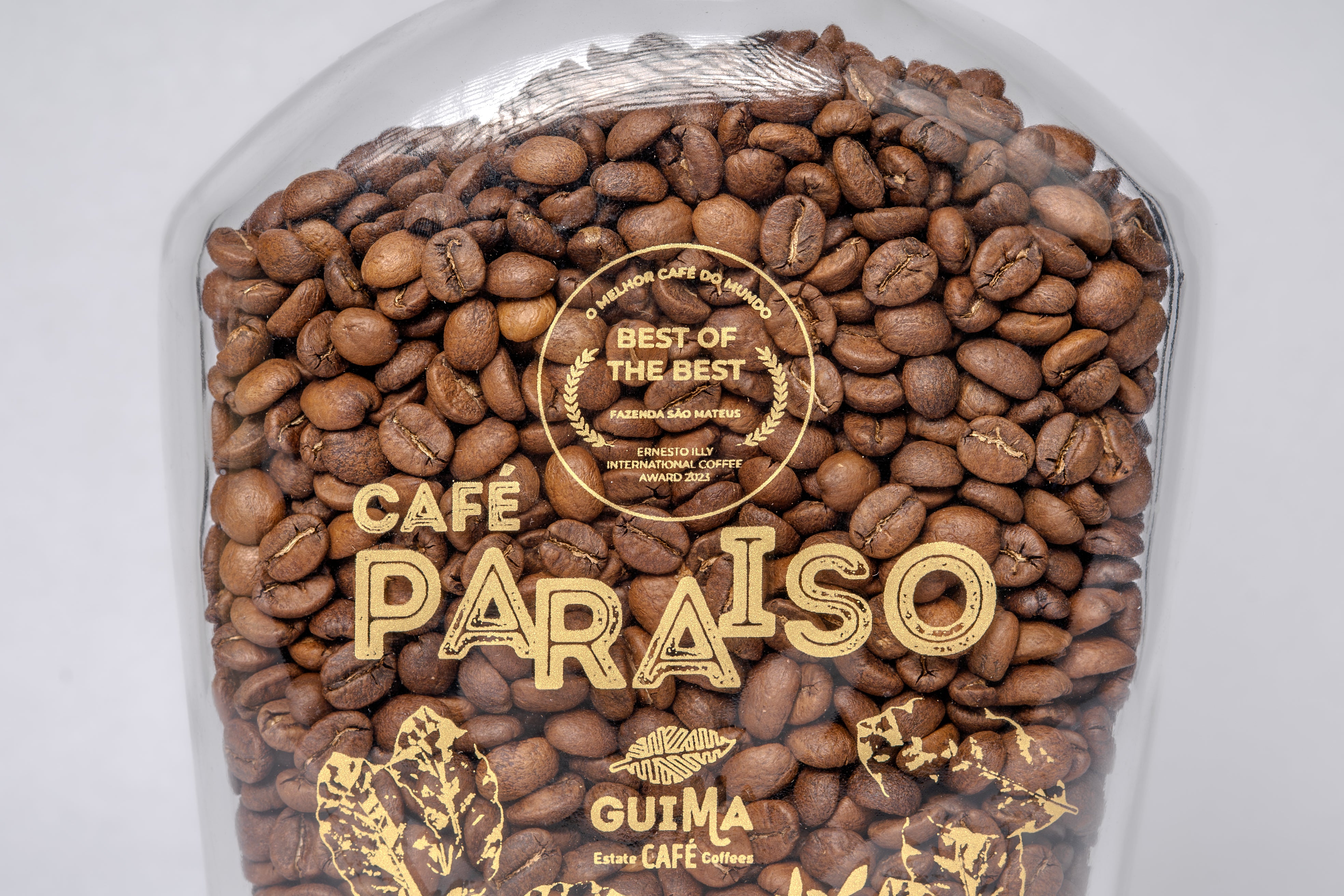 Paraíso Campeão